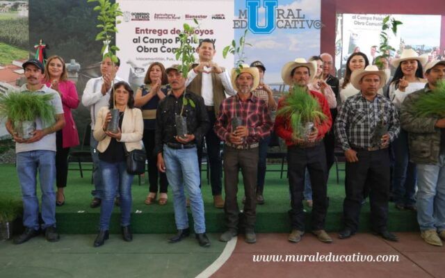 Ixtacamaxtitlán Recibe Apoyos Estatales Sin Precedentes En Maquinaria, Fertilizantes Y Reforestación