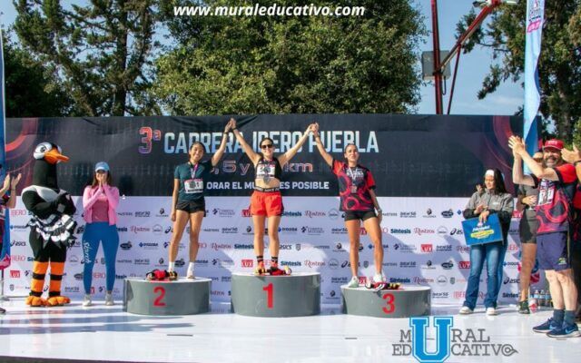 carrera Ibero