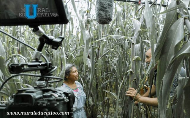 cortometraje