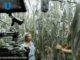 “Techiq”, un cortometraje de estudiantes y egresados BUAP nominado a los Premios Ariel