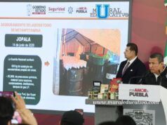 Con Inteligencia Y Estrategia, Gobierno Estatal Desmantela Producción De Estupefacientes En Sierra Norte