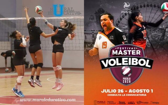 voleibol