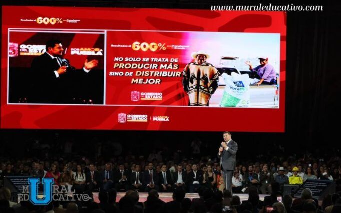 600 días