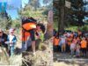 Voluntariado de Altosano y Fundación GCM participa en jornada de reforestación 2026 en Los Molinos