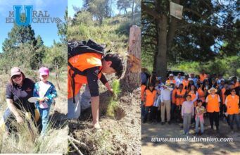 Voluntariado de Altosano y Fundación GCM participa en jornada de reforestación 2026 en Los Molinos