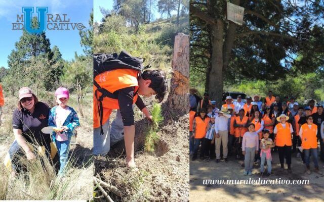 Voluntariado de Altosano y Fundación GCM participa en jornada de reforestación 2026 en Los Molinos