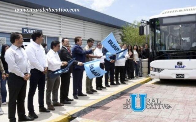 Lobobus