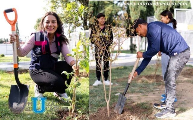 Con la reforestación sembramos un mejor futuro para San Andrés Cholula: Lupita Cuautle