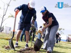 Realiza Lupita Cuautle jornada de reforestación en San Antonio Cacalotepec