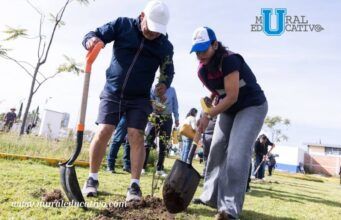 Realiza Lupita Cuautle jornada de reforestación en San Antonio Cacalotepec
