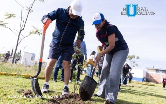 Realiza Lupita Cuautle jornada de reforestación en San Antonio Cacalotepec