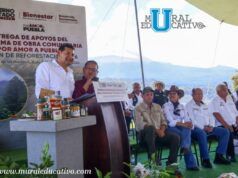 Obra Comunitaria Fortalece Turismo Y Desarrollo En San Nicolás De Los Ranchos