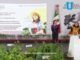 Desde Puebla, La Presidenta Claudia Sheinbaum Arrancará La Jornada Nacional De Reforestación