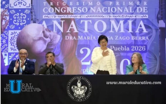 Anatomia