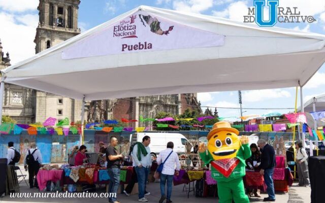 Proyecta Puebla su riqueza maicera en la Gran Elotiza Nacional