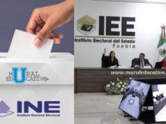 INE Fija Ruta Para Definir Candidaturas A Diputaciones Federales Rumbo A 2027