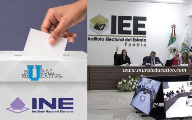 INE Fija Ruta Para Definir Candidaturas A Diputaciones Federales Rumbo A 2027
