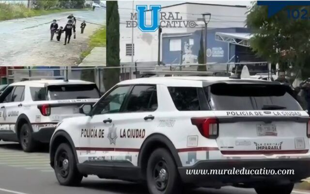 Despliegan operativo en el Mercado Morelos para buscar a María Luisa Trinidad