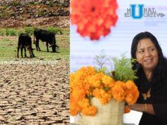Sequía, lluvias y vientos en Puebla, afectan 9 mil hectáreas agrícolas: Ana Laura Altamirano
