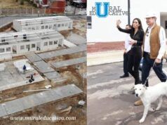 Centro De Bienestar Animal Estará Concluido En Noviembre