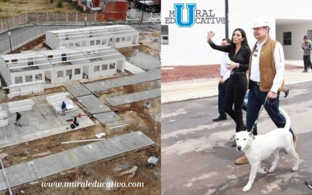 Centro De Bienestar Animal Estará Concluido En Noviembre