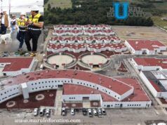 Gobierno Estatal Alcanza 88 Por Ciento De Avance En Célula De Bienestar Animal
