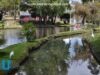 BUAP fortalece sus áreas verdes con la siembra de más de 250 árboles