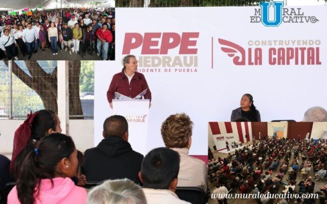 juntas pepe