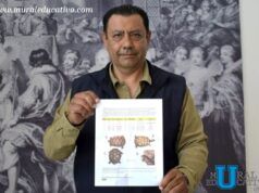 BUAP confirma presencia de tortuga de caja en Puebla; registran tres ejemplares